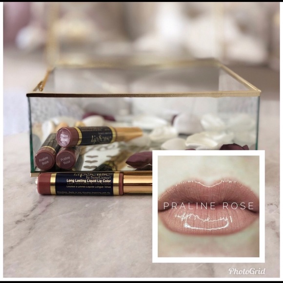LipSense Other - Lipsense Praline Rose Long Lasting Liquid Lip